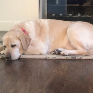 Meet your Posher, Mary